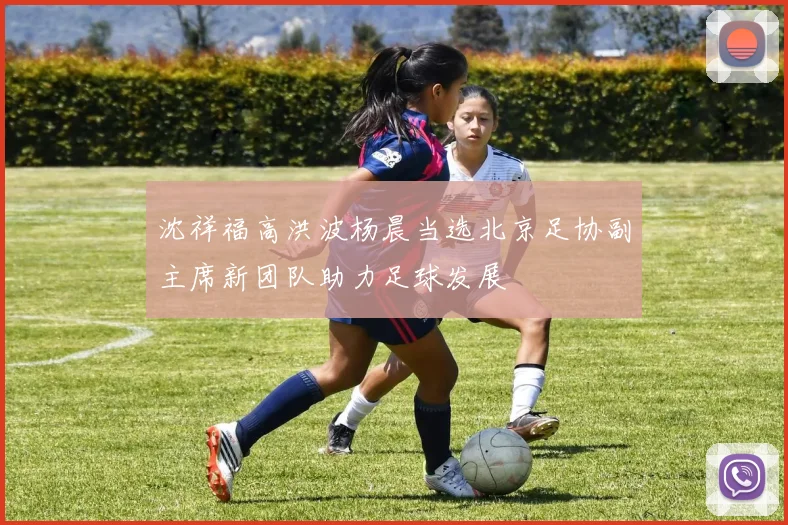 沈祥福高洪波杨晨当选北京足协副主席新团队助力足球发展